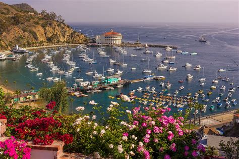 City of avalon catalina - Catalina Island has been inhabited for thousands of years, and the city of Avalon came to be in 1913. The city itself is only 3 square miles, (4.8 km2) but the island is 76 square miles (122.3 km2) and boasts a gorgeous total of 55 miles (88.5 km) of coastline!